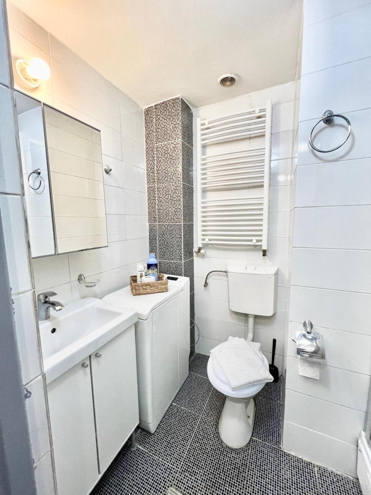 Victoriei Spacious Apartment *