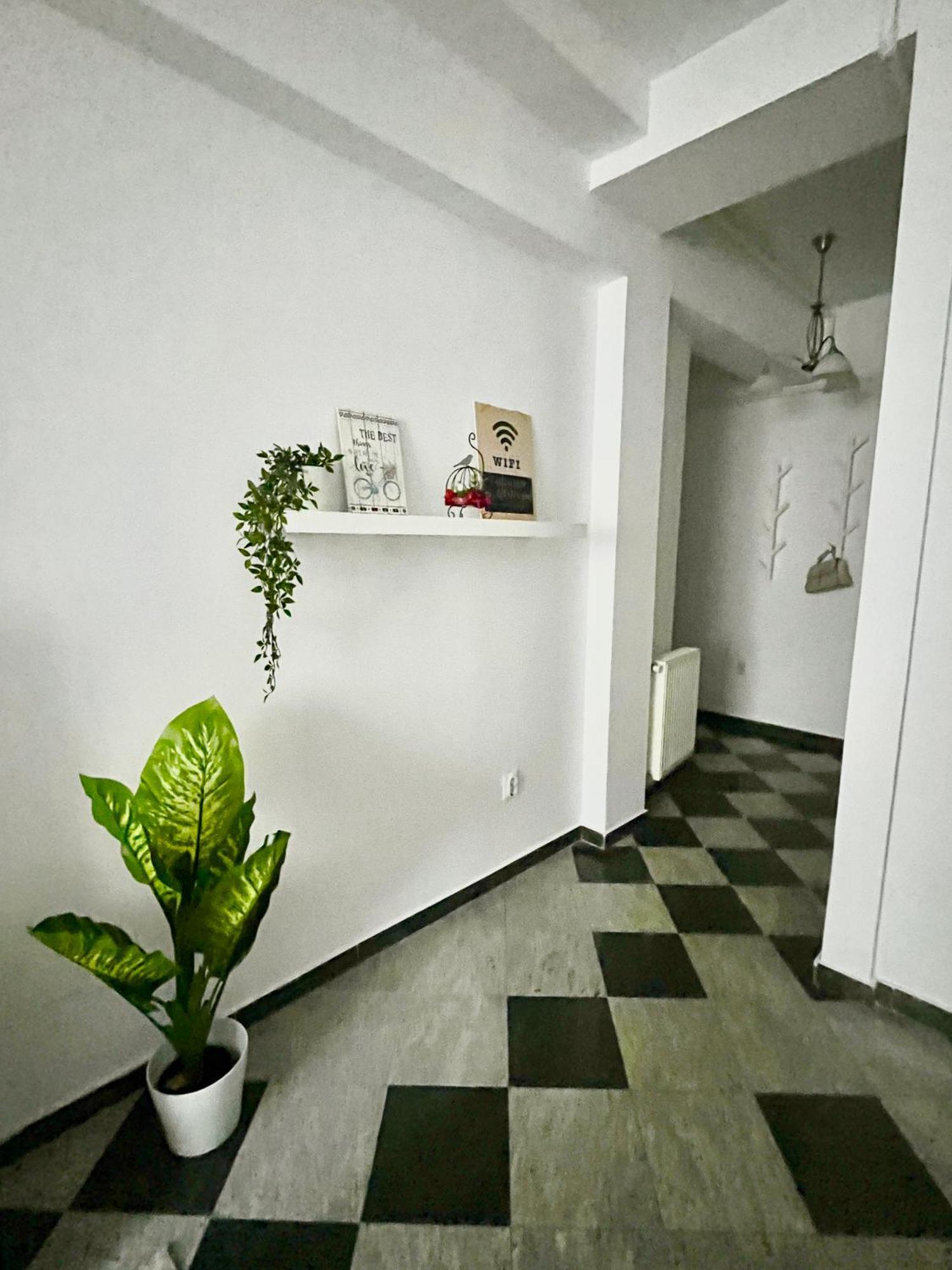 Victoriei Spacious Appartamento *