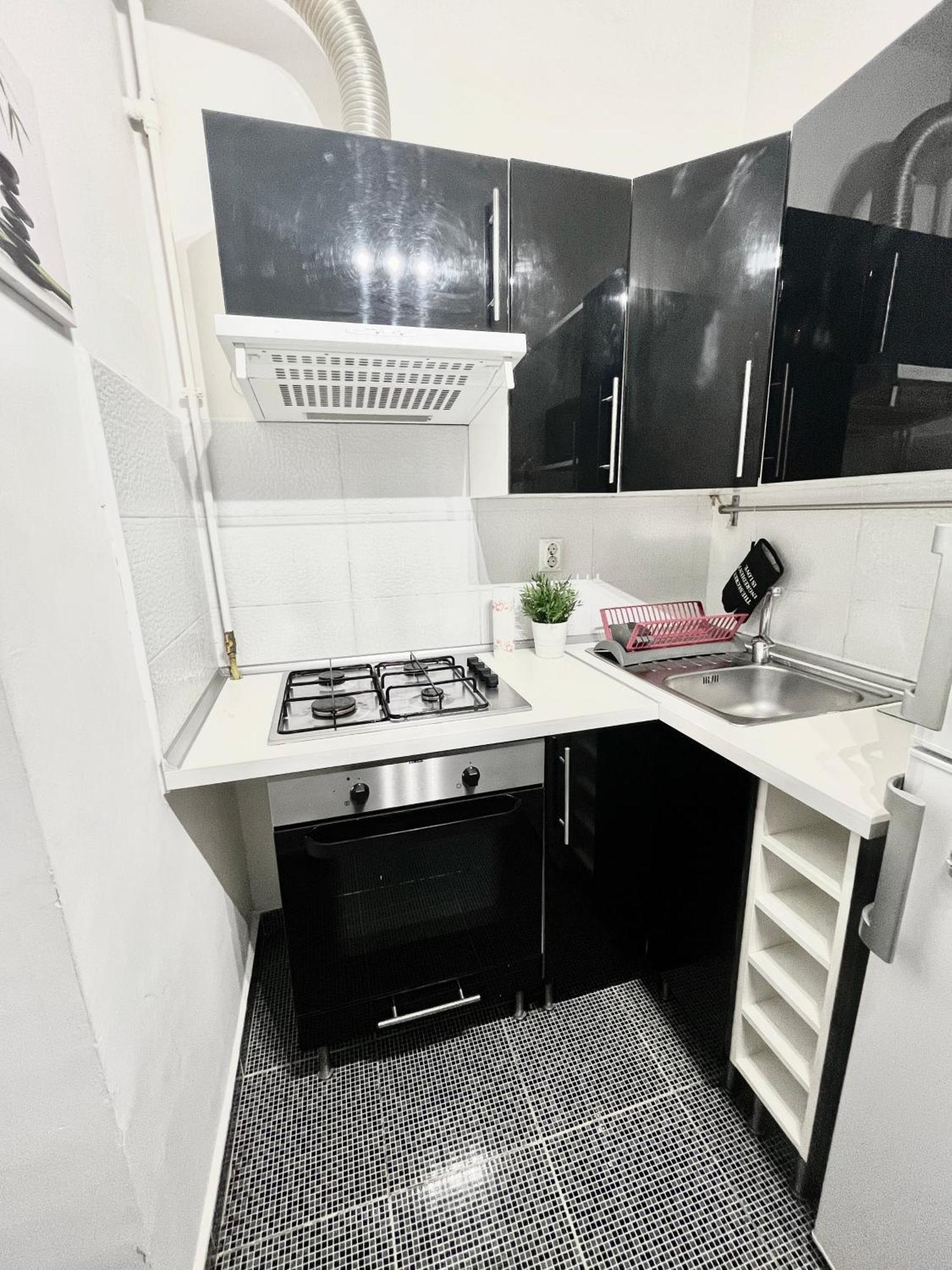 Victoriei Spacious Appartamento *
